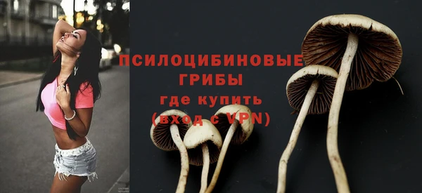 метадон Алексеевка