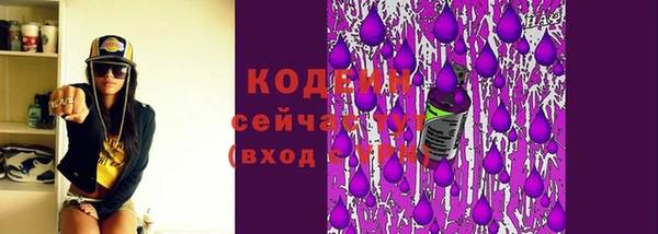 apvp Няндома