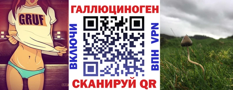 закладка Десногорск даркнет Telegram Галлюциногенные грибы ЛСД